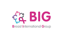 Logo BIG