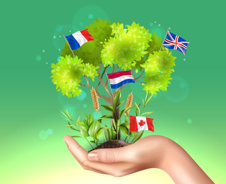Eudonet fait partie du top 19% des entreprise évaluées par EcoVadis sur la thématique environnement du même secteur d’activité